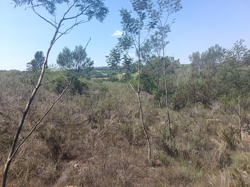 0 Bedroom Property for Sale in Albertinia Western Cape